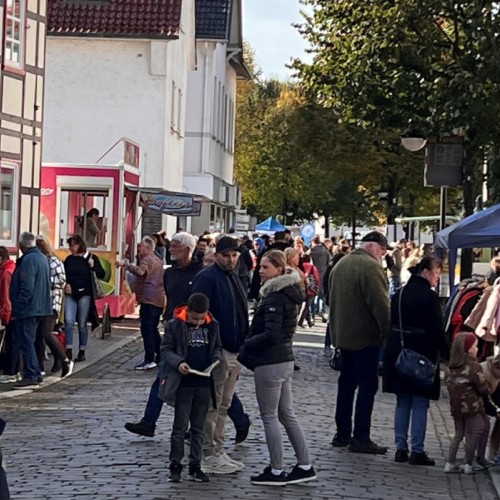 Frühlingserwachen im März 2026
